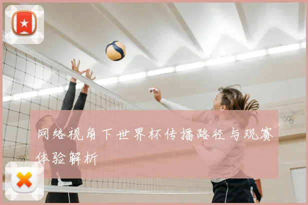 网络视角下世界杯传播路径与观赛体验解析